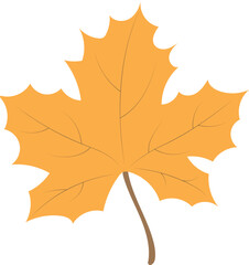 Autumnal Maple Leaf Vector illustration