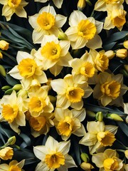 Bouquet of daffodil flowers detailed texture background for wedding, debut or any occassion like graduation or prom from Generative AI