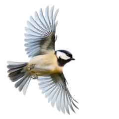 Foto auf Acrylglas beautiful bird in flight, on transparency background PNG © KimlyPNG