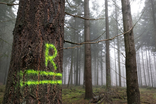 tree Marker