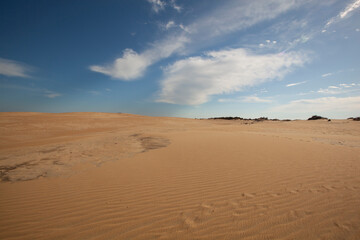 Fototapeta na wymiar A scenic view of sand dunes at Jockey's Ridge State Park in the Outer Banks in North Carolina.