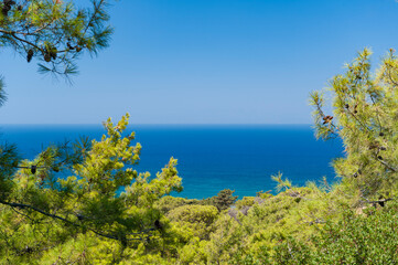 Fototapeta na wymiar Blick auf die blaue, ruhige See des Mittelmeers durch bzw. über einen Pinienwald auf der griechischen Insel Rhodos