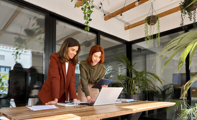 Two happy business women executives of young and middle age talking working in green office. Smiling professional ladies partners using laptop and tablet technology devices standing at work table.