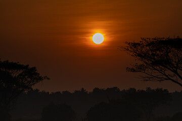 A Beautiful sunset landscape in the late winter in south india
