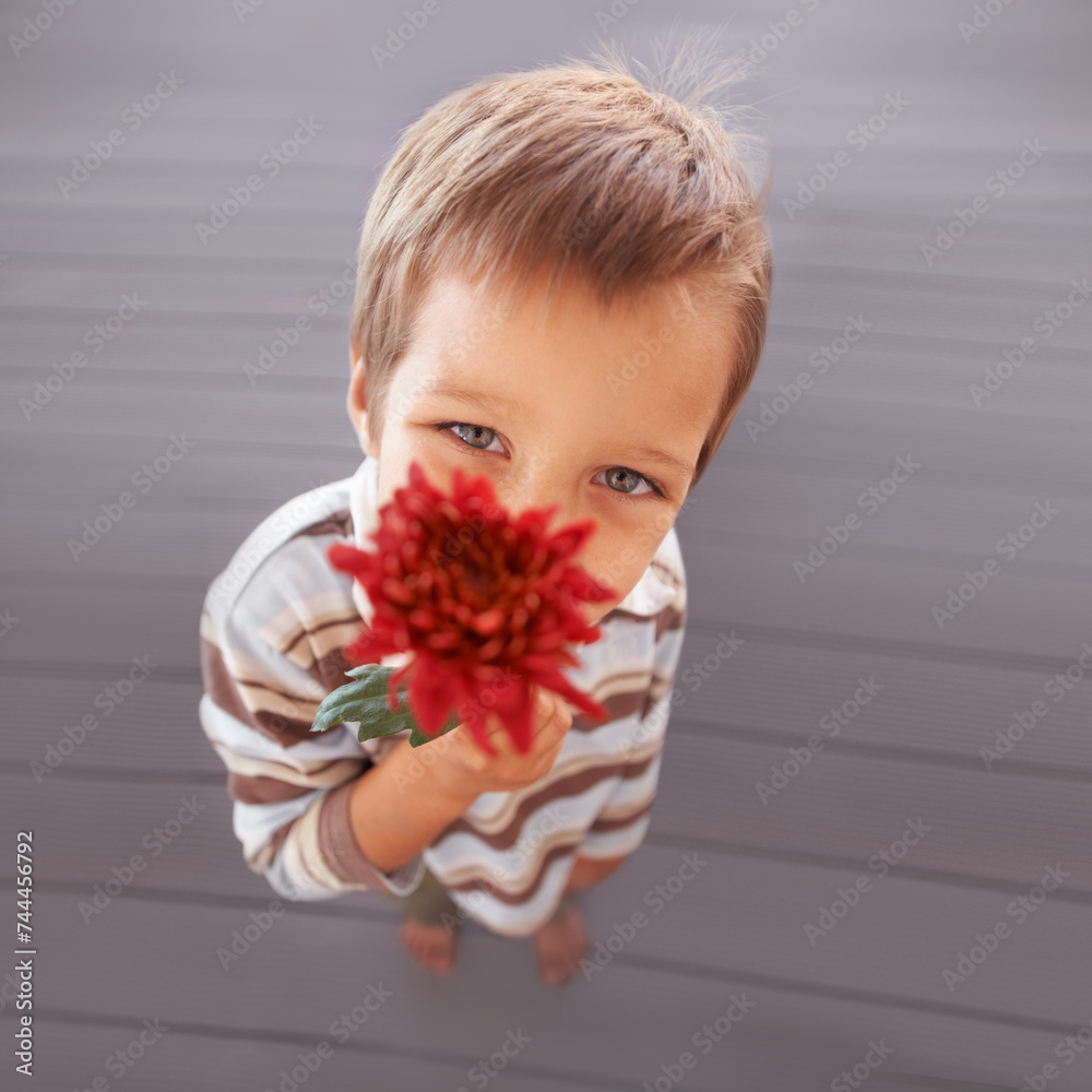 Poster Flower, gift and portrait of a boy with a present and above for mothers day with a smile in a home. Happy, celebration and young child with a surprise for holiday in living room with plant in lounge