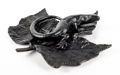 A purchased (consumer) lizard figurine on a sheet of cast iron wood in close-up on a white background