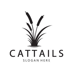 Fototapeta premium cattails or river reed grass plant logo design, aquatic plants, swamp, wild grass vector