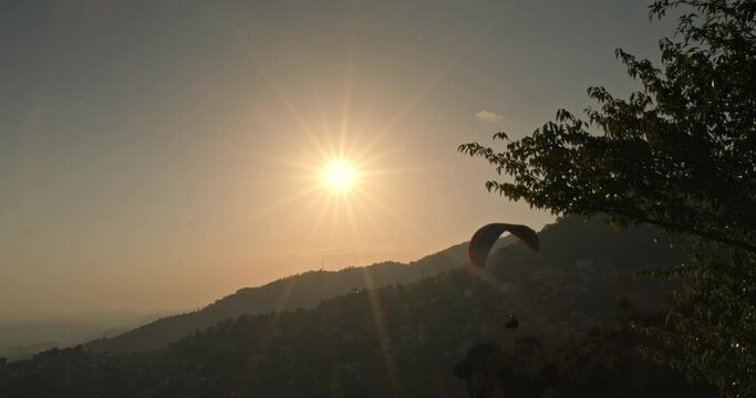 A paraglider emerges from behind the trees, then vanishes into the sunset during a flight over Dharamshala.