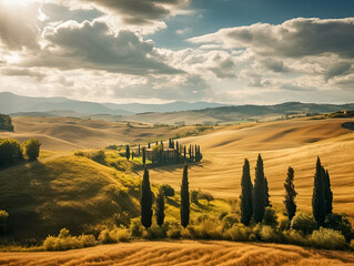 Naklejka premium Hügelige Landschaft in der Toskana, Italien, Europa, Generative AI