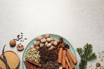 Different spices with nuts in bowls and fir branch on light gray textured table, flat lay. Space...