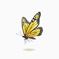 Beautiful yellow butterfly flying isolated icon isol