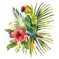 Watercolor drawing isolated green parrot with hi