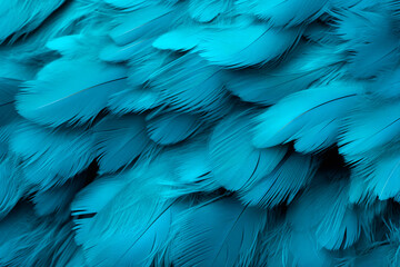 Fototapeta premium Blue feathers close-up, background, pattern