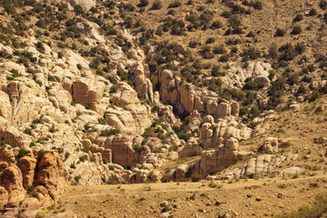 Dana Biosphere Reserve is Jordan's largest nature reserve, located in south-central Jordan and includes mountain slopes of Eastern Rift Valley to Wadi Arab. Jordan.