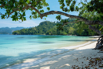 Pristine tropical beach with clear turquoise water and green foliage.