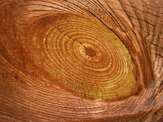 Naklejka premium wood texture