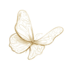 watercolor butterfly isolated on transparent background