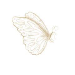 watercolor butterfly isolated on transparent background
