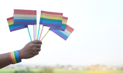 Close up hand holds rainbow colors flags. Concept, Lgbtq+ celebration in pride month, June. Symbol of LGBT community around the world.Support human right of gender diversity.  