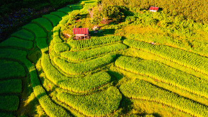 top view at the green Terraced Rice Field in Chiangmai Thailand, Pa Pong Piang rice terraces, green...