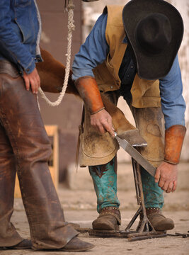 close up of horse farrier or equine blacksmith rasping a horse foot using rasp during hoof maintenance trim blacksmith wearing turquoise cowboy boots and leather chinks vertical image room for type