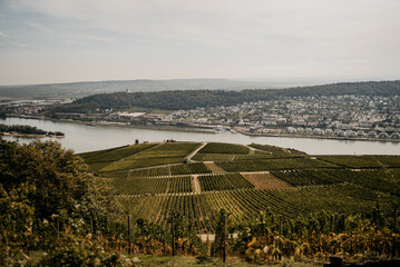 Aussicht auf Weinberge und einen Fluss