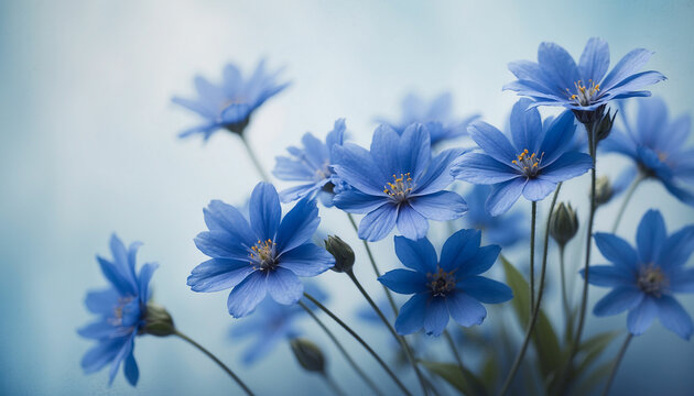 A bunch of blue flowers set against a soft textured background in varying shades of blue and the play of light and shadow creates an abstract design imbuing the image with a sense of mystery and calmn