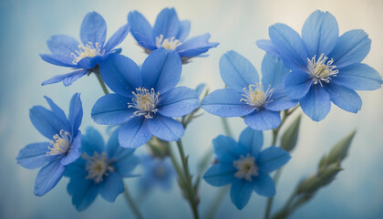 A bunch of blue flowers set against a soft textured background in varying shades of blue and the play of light and shadow creates an abstract design imbuing the image with a sense of mystery and calmn