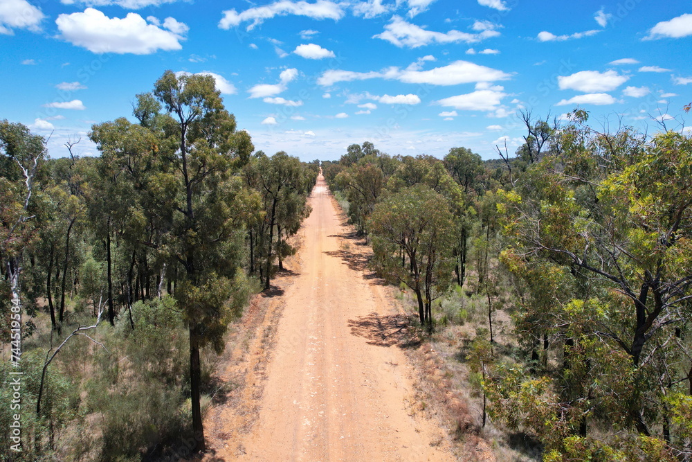 Canvas Prints Pilliga forest in Australia