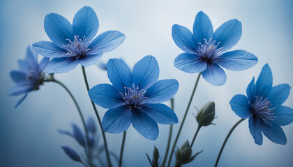 Fototapeta na wymiar A bunch of blue flowers set against a soft textured background in varying shades of blue and the play of light and shadow creates an abstract design imbuing the image with a sense of mystery and calmn