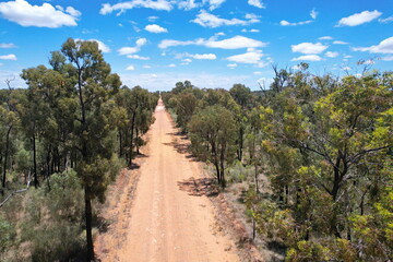 Fototapeta na wymiar Pilliga forest in Australia