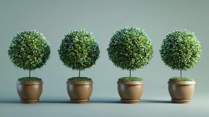 intricately trimmed Boxwood topiaries