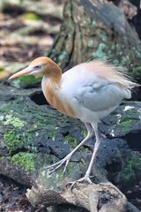 Port Douglas, Queensland, Australia