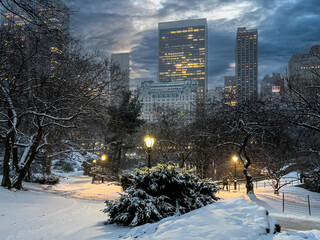 Central Park in winter , after snow storm