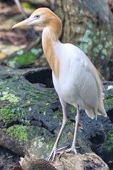 Port Douglas, Queensland, Australia