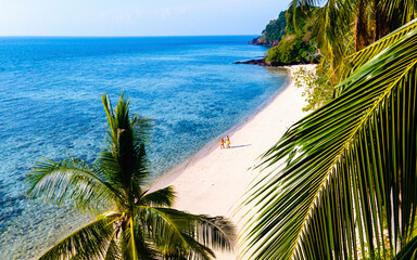drone view through palm leaves at a couple of men and women walking on the tropical beach of Koh...