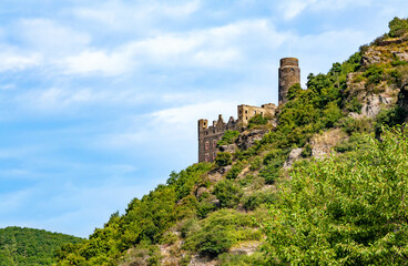 Obraz premium Castle Maus, Mouse Castle, St. Goarshausen, Rhineland-Palatinate, Germany, Europe.