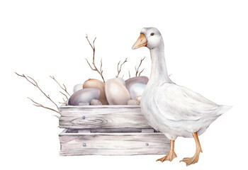 Cute watercolor illustration wooden box made of white gray with chicken and quail eggs and willow branches and white goose. wooden boards. Hand drawn easter illustration isolated on background.