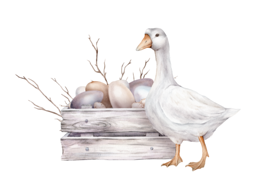 Cute watercolor illustration wooden box made of white gray with chicken and quail eggs and willow branches and white goose. wooden boards. Hand drawn easter illustration isolated on background.