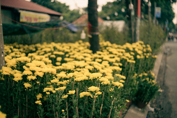 Obraz premium ,Passerby helping to support the child girl to stand up from on the floor after falling down at park,asian woman pulling hand and give encouragement to female teenage,kindness,friendship concept