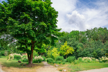 Fototapeta premium beautiful summer day in Ingolstadt, view of the Danube river in Germany