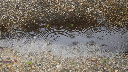 Rain drops rippling in a puddle