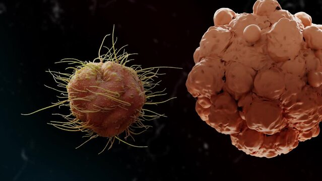 Virus and Cancer Cell On Black Background 3D Animation