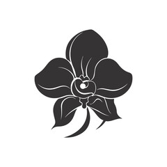 Black  orchid flowers. Vector illustration.