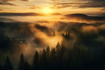 A drone shot of a misty forest with rays of the setting sun breaking through fog