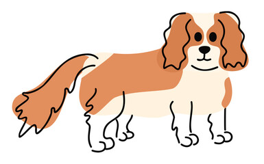 cavalier king charles spaniel