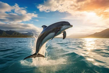 Poster Split-level shot of a dolphin leaping out of clear turquoise waters © Dan
