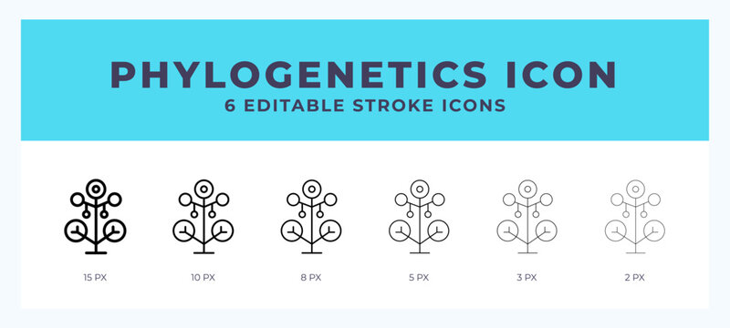 Phylogenetics line icon symbol. Logo. Icon vector illustration with editable stroke.