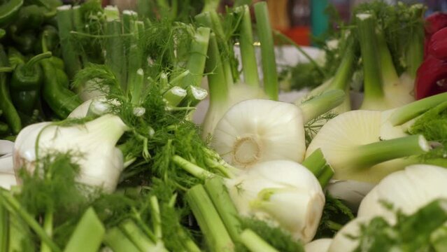 Aromatic fennel bulbs, with their crisp texture and licorice-like flavor, ready 