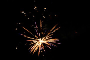 Fototapeta premium fireworks in the sky